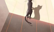 选婚纱测老公是温柔还是严肃