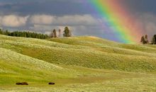 卯时出生的人2020鼠年能不能结婚嫁娶，时机成熟可结婚