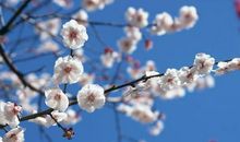 今年有贵人暗中帮扶，财运会逐渐好转的生肖