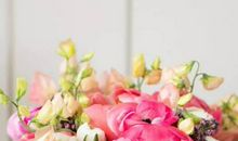 2020年1月生肖属兔和生肖属马结婚吉日