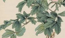 2020年男孩取名带宏字，先了解宏字字义和数理