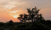 桑柘木命五行缺什么，需要根据五行命理来判断缺什么