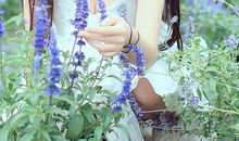 内心强大，不怕闲言碎语的三大星座