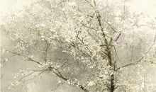 2020年1月出生鼠宝宝的取名，结合出生的性格起名