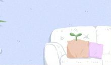 风水中哪些物件不宜长期放在汽车内