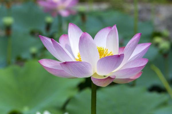 5月上旬横财运大旺，3大属相贵人登门，不愁吃喝 1