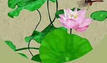 2020年鼠年春节出生的女孩怎么起名，取名用哪些字最好