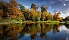 1995乙亥年生山头火命缺什么，缺木的话工作起伏大