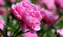 射手座的人身上有哪些魅力？