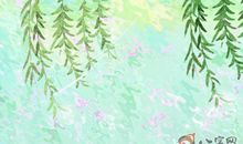 痣的位置与命运查询