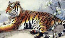 属虎的几月出生最好