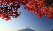 五生肖了不起，3月偏财运佳，贵人相助，吃喝不愁！