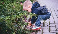 姓牛的男孩名字大全