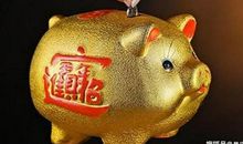 2020年喜鹊报喜，大富特富，有贵人指路的四生肖