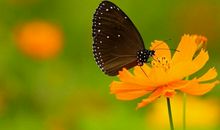 3月走狗屎运，开门红，江财聚福，喜事成双的3大生肖