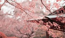 接着！跟12星座和平分手最佳方式