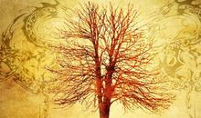 《秦岭神树》第三只蛇眉铜鱼终于面世，汪藏海用它绘出风水大局