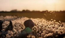 胡适：妈妈的格局，是一个家庭最好的风水