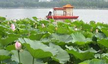 立冬之后，喜气洋洋发大财！3生肖财气大涨、横财大旺，备好麻袋装大钱