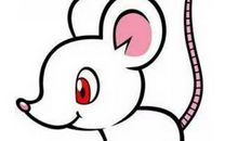 2020年9月出生的鼠宝宝好带吗。这个月出生的宝宝好带