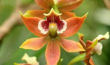 特大好消息：17号开口笑，18号不得了，3生肖脚踩“狗屎运”，横财不请自来