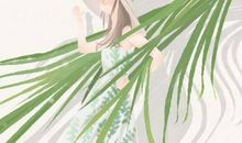 招财树的风水作用 聚财