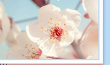 风水：供奉神台所有的注意事项