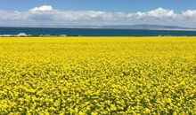 生肖属蛇的男人2020年贵人运，月德贵人入宫，润滑人际关系