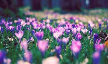 18号迎大财进门，吉运进家门，3生肖财富翻番涨，再也不差钱