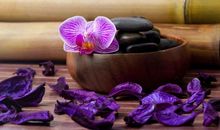 2020年，事业一片光明，偏财运越来越旺盛的4大生肖