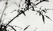 2020年4月10日三月十八生的女孩是什么命，取什么名字有福气