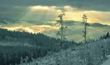 桑柘木命幸运数字是多少，以3或是8结尾的数字