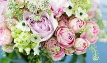 2020年农历四月和闰四月生肖属鼠和生肖属鸡哪几天订婚好