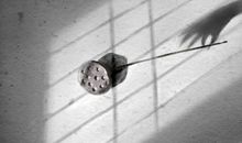 离婚率连续上涨 是因为八字不合吗