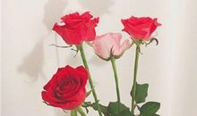 为了保持恩爱，血型都做了什么？