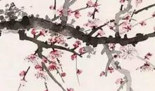 2020年6月6号闰四月十五出生的女孩是什么命,如何取名字