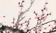 2020年6月5号闰四月十四芒种出生的女孩是什么命,如何取名字