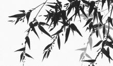 2020年农历正月十五元宵节黄历，冲猪乙亥煞东