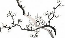 2020年农历十一月初十出生的女孩起什么名字好，五行八字是什么