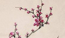 2020年4月9日三月十七生的女孩是什么命，取什么名字涵义好