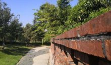 晨霁2020年3月份星座运势：转折之时，多事之秋