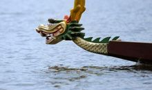 最高指挥官的生肖属相