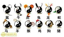 十二生肖对应十二地支：地支与生肖配对