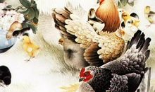 世上最旺夫的4大生肖女，未来爱人不是富就是贵，娶她就对！