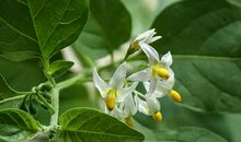 下半个月好运不断财运不断的三大星座，多财多福，好运连连