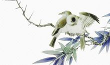 2020年2月27号出生的女孩怎么取名字，结合寓意好的字起名