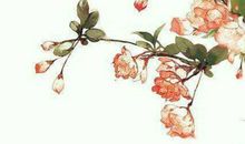 两眉中间有八字纹的人生运势,印堂是吉相有什么标准