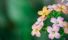 2月份开始，阴霾消散，好运驾到，度过难关的四大星座