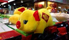 日进斗金的生肖属相