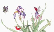 2020年2月24号出生的女孩怎么取名，结合寓意好的字起名